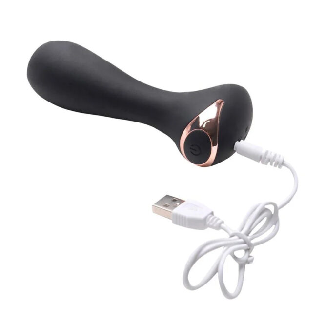 We Love Anal Plug Vibrator | Desire Toys